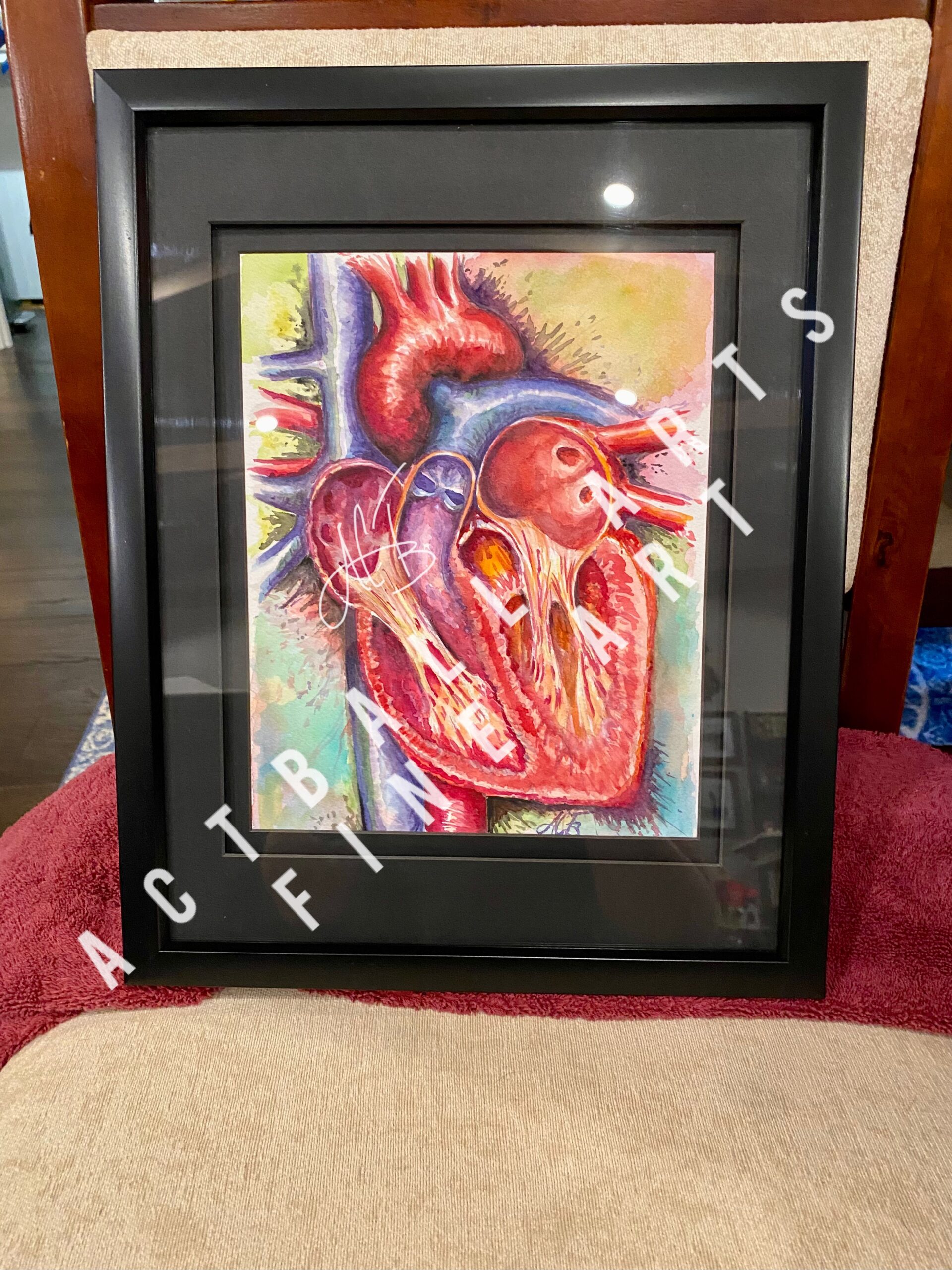 Watercolor of anatomical heart dissection.